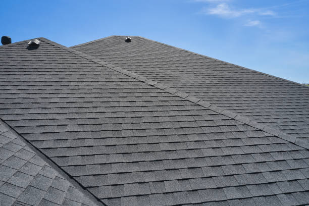 Best Skylight Installation and Repair  in Skippers Corner, NC